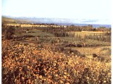 View of the plain of Gennesaret.